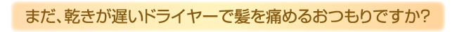 �ޤ����������٤��ɥ饤�䡼��ȱ���ˤ�뤪�Ĥ��Ǥ���?