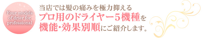 ��ǽ�������̽�ˤ��Ҳ𤷤ޤ�����������Υץ��ѤΥɥ饤�䡼���������Ź�Ǥ�ȱ���ˤߤ�����ޤ���