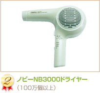 �Υӡ�NB3000�ɥ饤�䡼