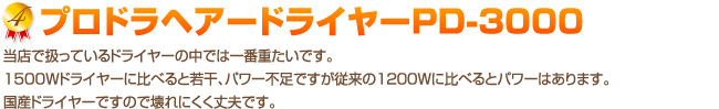 �ץ��ɥ�إ����ɥ饤�䡼PD-3000