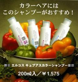 ���륳��������ץ������顼�����ס�