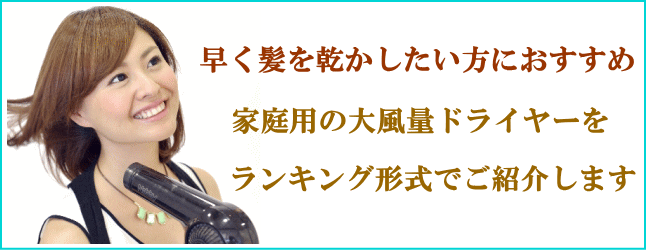 家庭用大風量ドライヤー