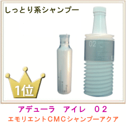 ランキング1位 アイレ02