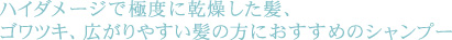 ハイダメージで極度に乾燥した髪、ゴワツキ、広がりやすい髪の方におすすめのシャンプー