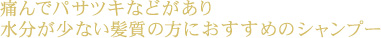痛んでパサツキなどがあり水分が少ない髪質の方におすすめのシャンプー