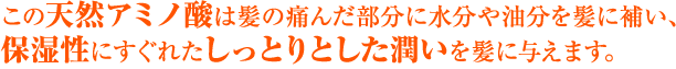 保湿性にすぐれて髪に潤いを