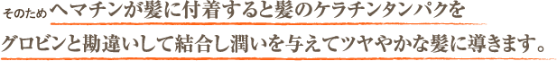 潤いを与えてつややかな髪に