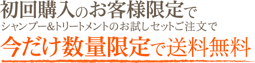 初回購入のお客様送料無料