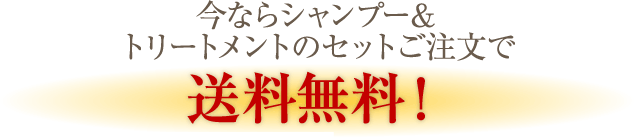 セットご注文で送料無料！